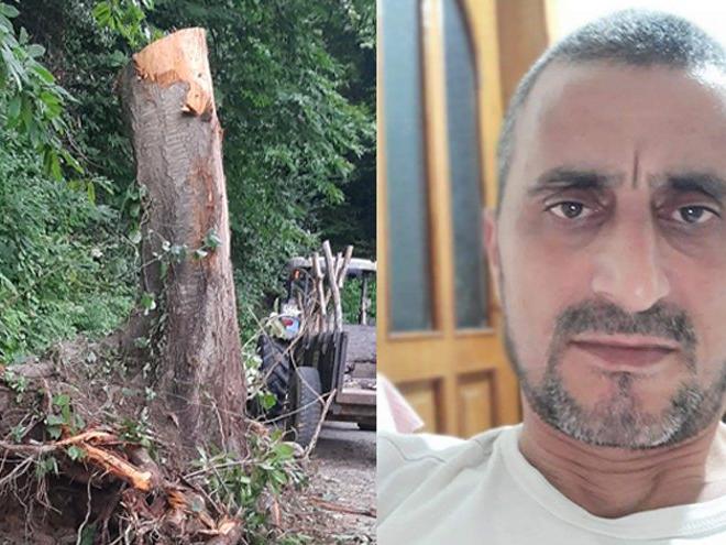 Kestiği ağaç dalının çarpmasıyla hayatını kaybetti