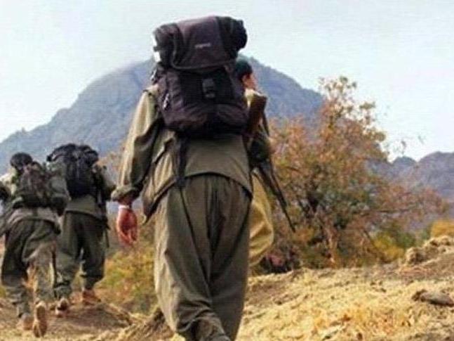 MSB: 2 PKK'lı terörist öldürüldü