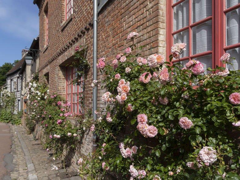 Turistler hayran kalıyor: Gülleriyle ünlü köy