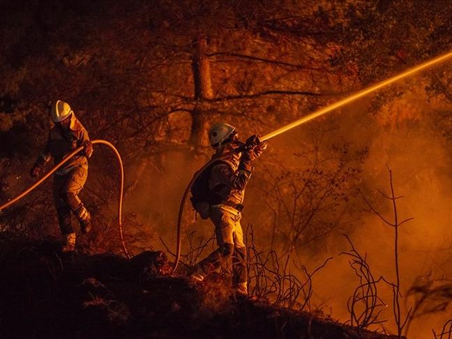 İspanya'da yüzyılın en büyük orman yangınlarıyla mücadele sürüyor