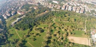 Validebağ Korusu için bilirkişi raporu tamamlandı: Ekolojik zenginliğini kaybeder