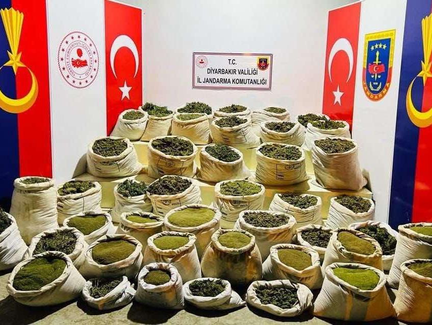 İçişleri: Diyarbakır'da 8 milyon 849 bin kök kenevir ele geçirildi