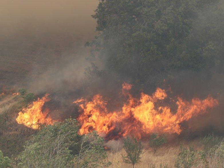 İspanya'da yangın paniği: Köy boşaltıldı
