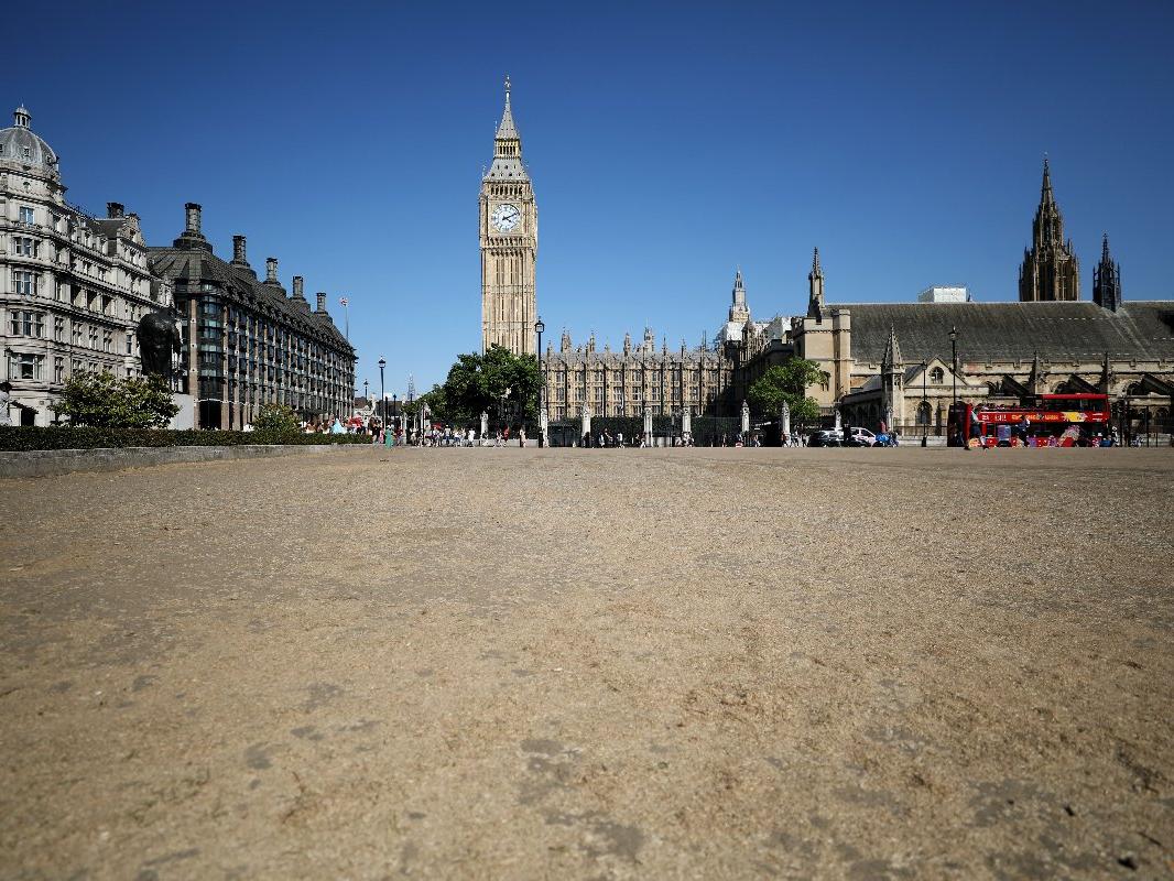 İngiltere'de aşırı sıcakların etkisi artıyor: Her yer sarardı