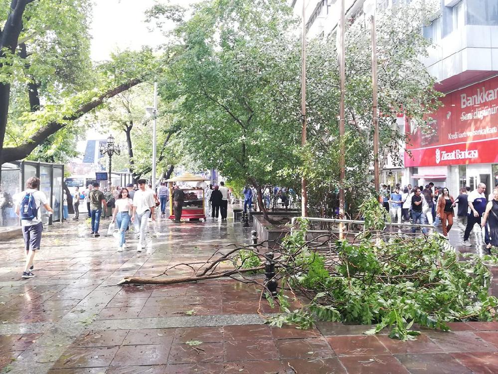 Ankara'da fırtına! Ağaçlar devrildi, adliyenin tavanı çöktü