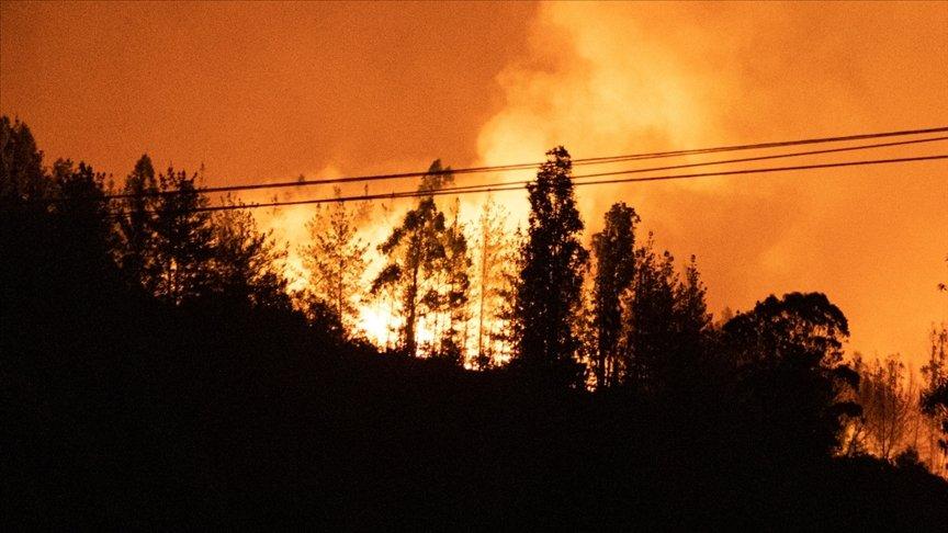İngiltere'de orman yangınları şiddetlendi