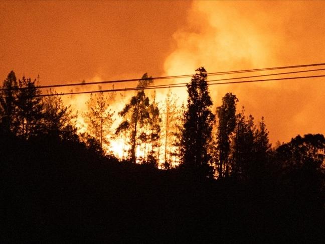 İngiltere'de orman yangınları şiddetlendi