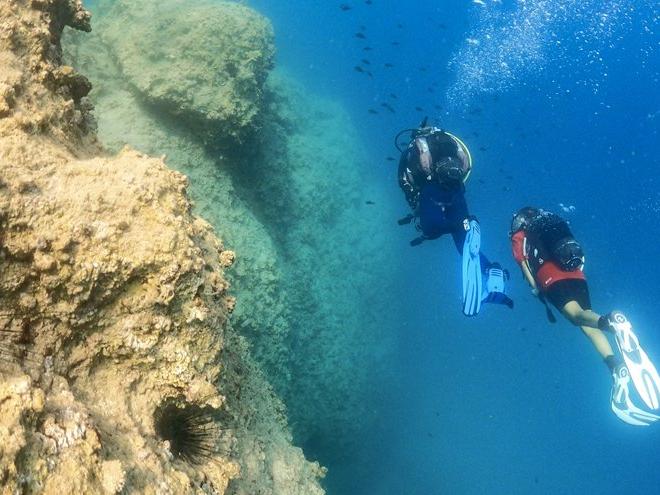 Mersin'de maviyle yeşilin birleştiği doğa harikası: Dana Adası