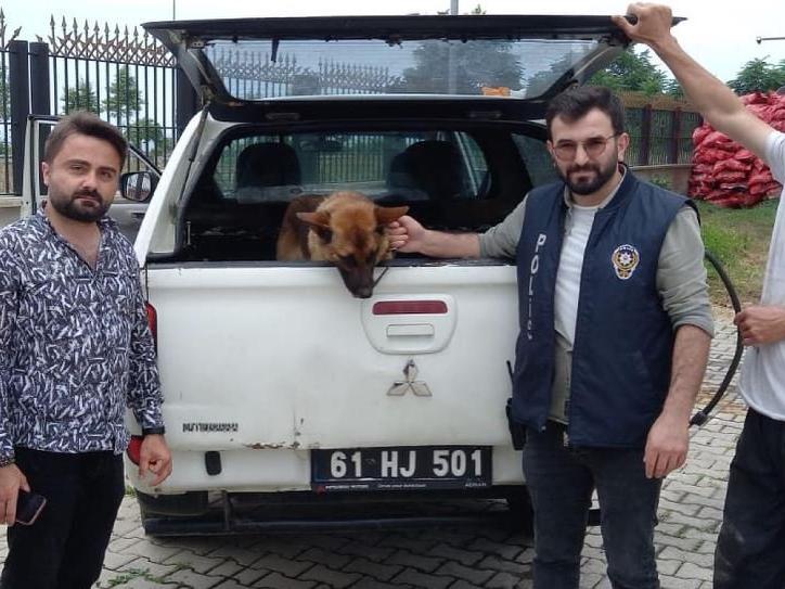 Kavga sırasında bekçiyi ısıran köpeği gözaltına aldılar
