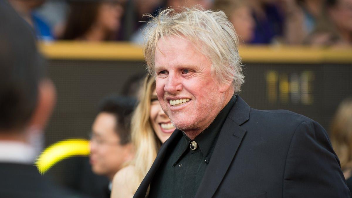 Ünlü oyuncu Gary Busey cinsel taciz ile suçlanıyor
