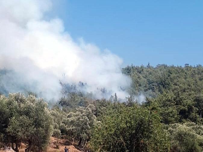 Orman yangını hazırlığındaki PKK'lı yakalandı