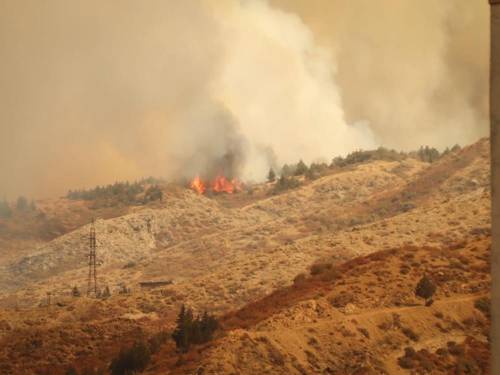 Gürcistan’ın yangınlarla mücadelesi sürüyor