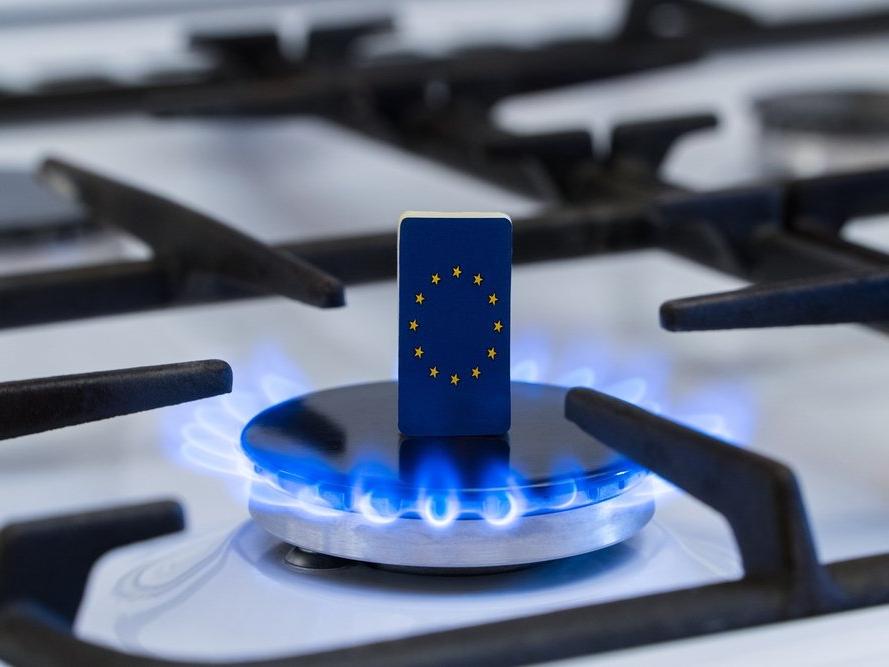 Shell’in CEO’su: Avrupa’nın enerji krizi bir kıştan fazla sürecek