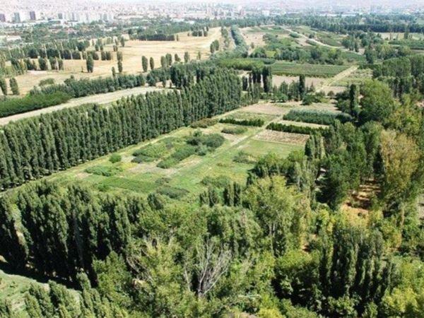 Atatürk Orman Çiftliği'ni hem sattılar hem de betona boğdular