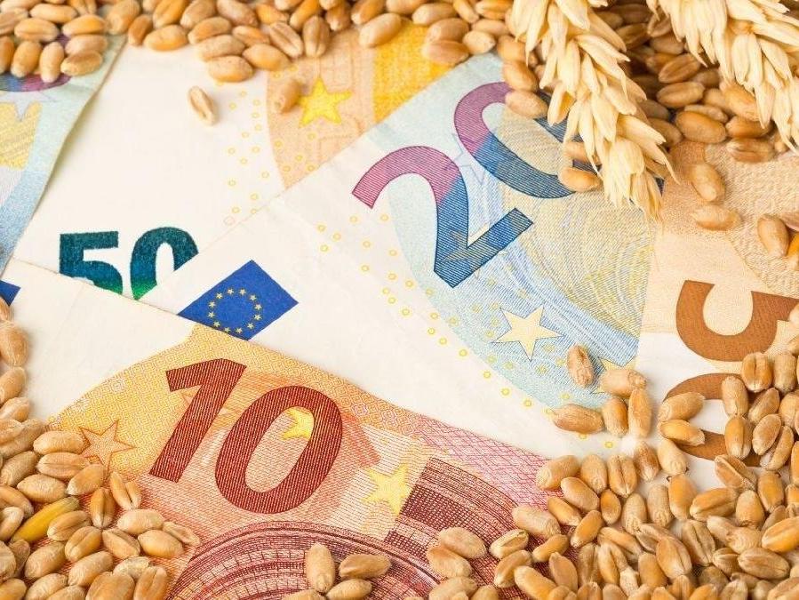 Küresel gıda fiyatları ağustosta geriledi