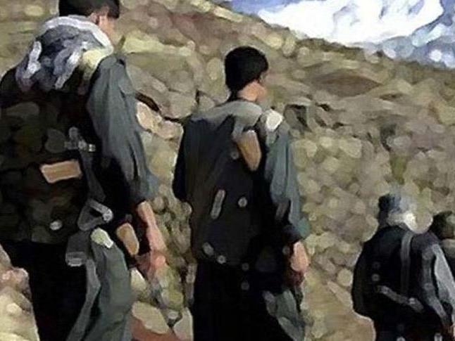 Üst düzey PKK'lı etkisiz hale getirildi