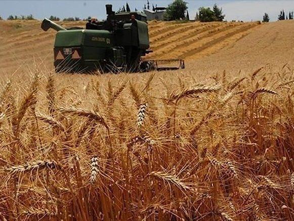 Putin tahıl koridorunu eleştirdi, buğday fiyatları uçtu