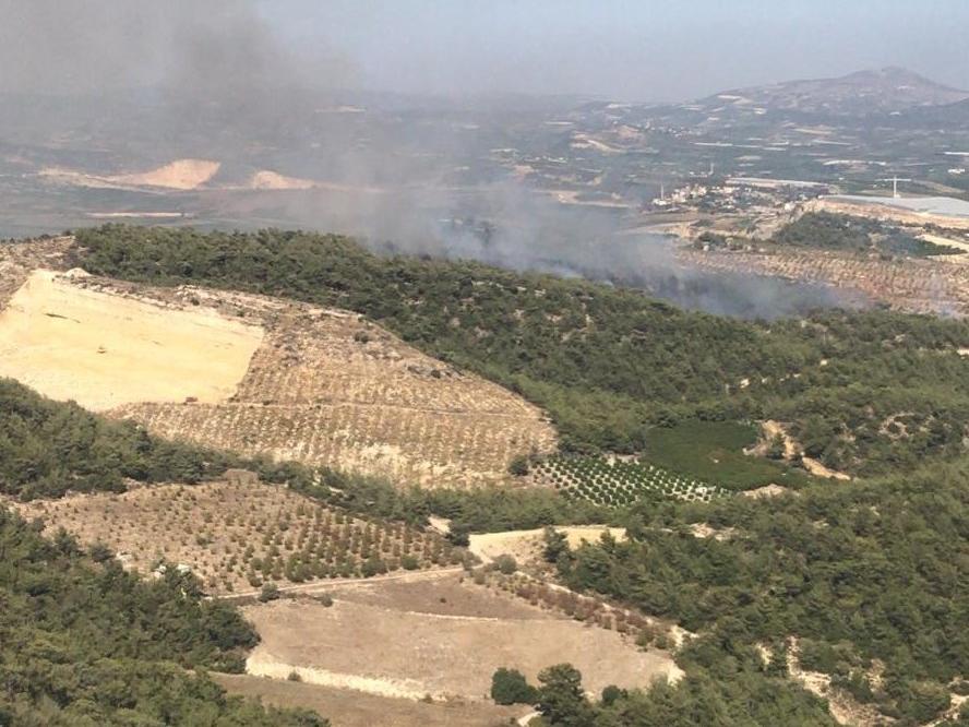 Mersin'de çıkan orman yangını kontrol altına alındı