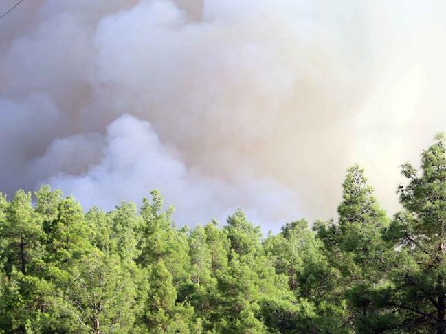 Denizli'deki yangın kısmen kontrol altına alındı