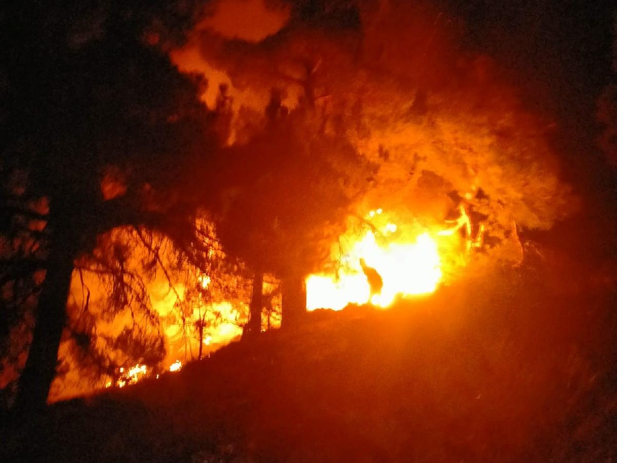 Adana'da ormanlık alanda çıkan yangın söndürüldü