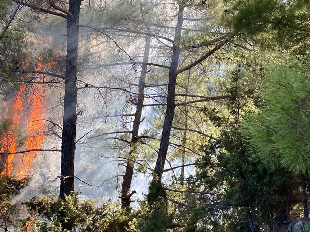 Adana'da art arda orman yangınları