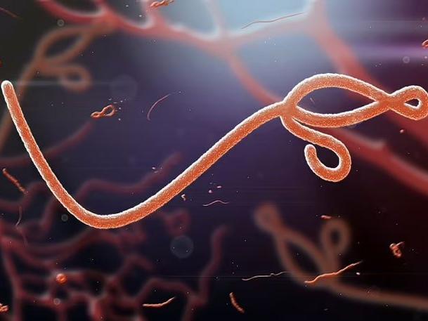 Bilim insanları uyardı: Ebola benzeri yeni ölümcül virüs bir sonraki pandemiye neden olabilir