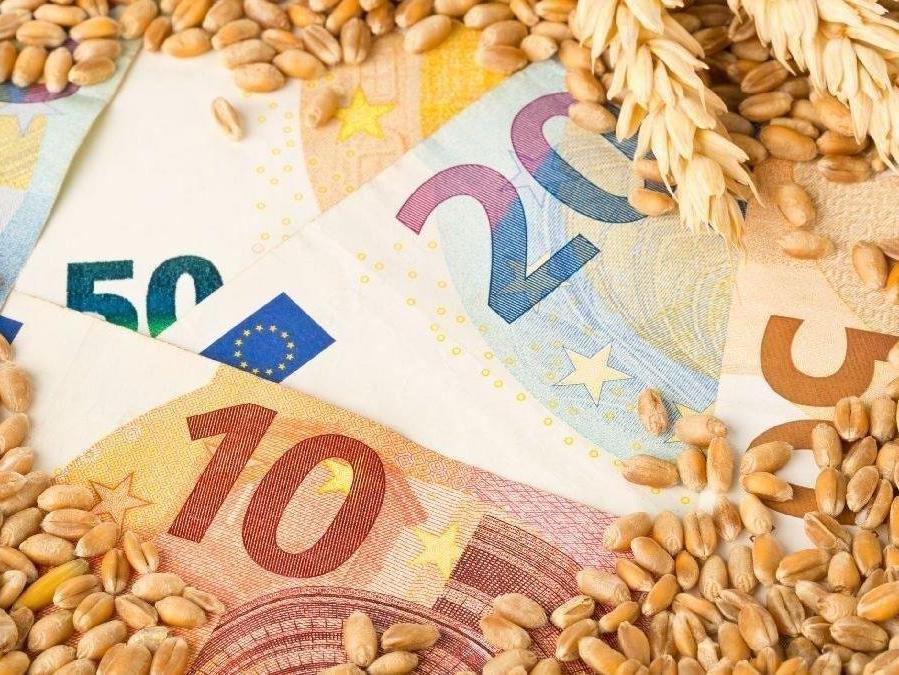 Küresel gıda fiyatlarında düşüş sürüyor