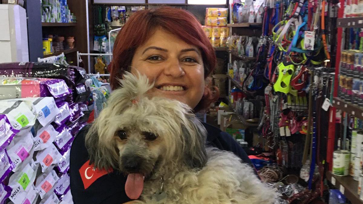 Kazada yaralanan turistin köpeği Emine hemşireye emanet
