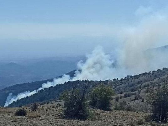 İzmir'deki orman yangını kontrol altında