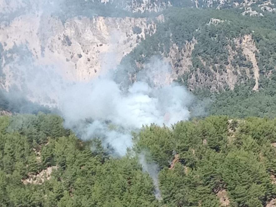 Muğla'da çıkan orman yangınına havadan müdahale ediliyor