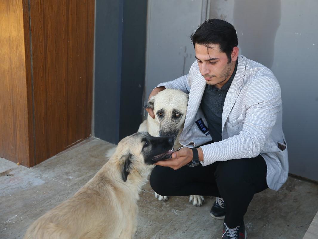 Sahiplendiği 3 köpeğin ölümüne neden olan sürücülerden şikayetçi oldu