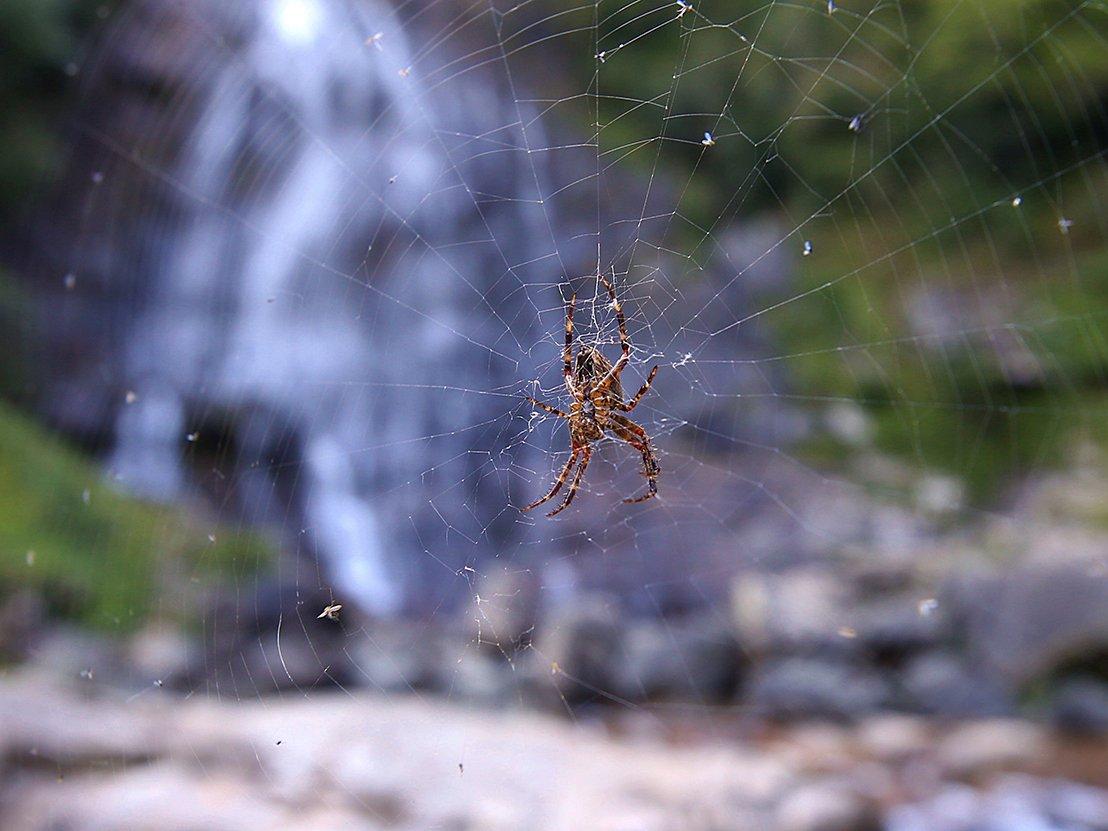 Tarihi Çifte Köprüler'den geçilerek ulaşılan Mençuna Şelalesi büyülüyor