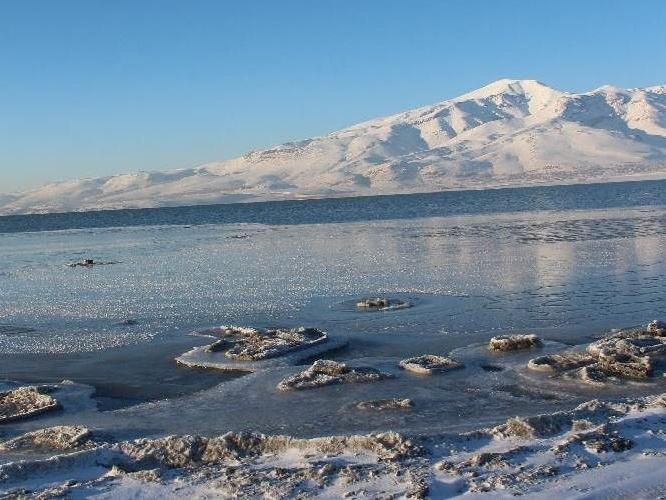 Alaska'da kar yengeçlerinin yüzde 90'ı yok oldu