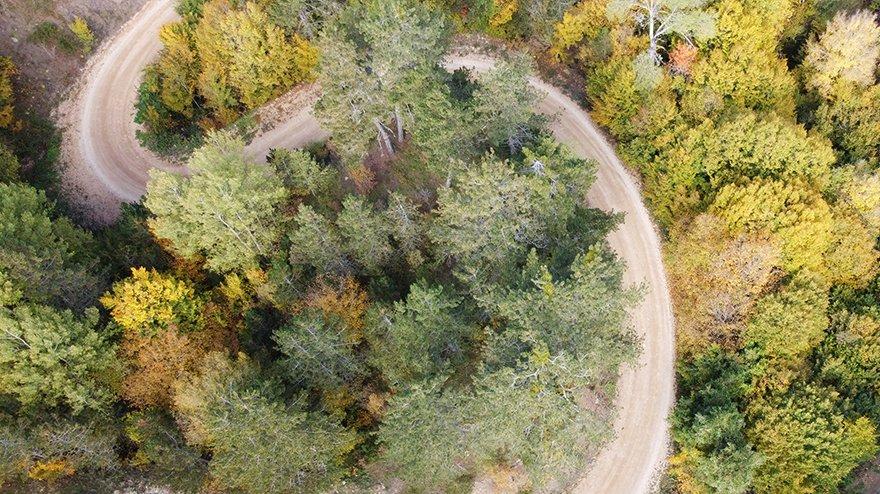 Mudurnu ormanları sonbaharda ayrı güzel