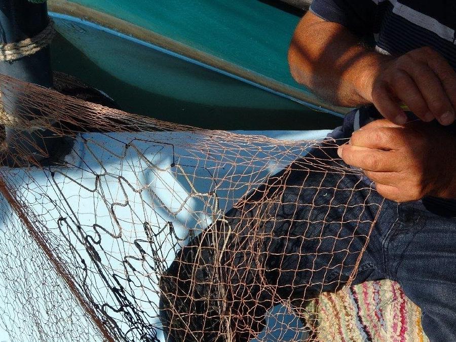 Balık ağlarıyla ilgili çarpıcı araştırma tehlikeyi gözler önüne serdi
