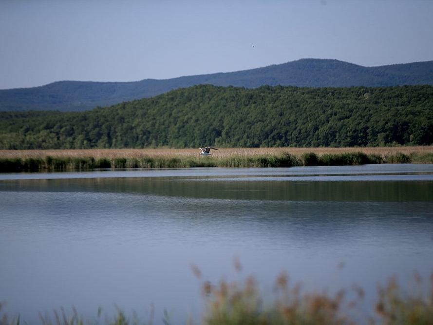 Trakya'nın saklı cenneti