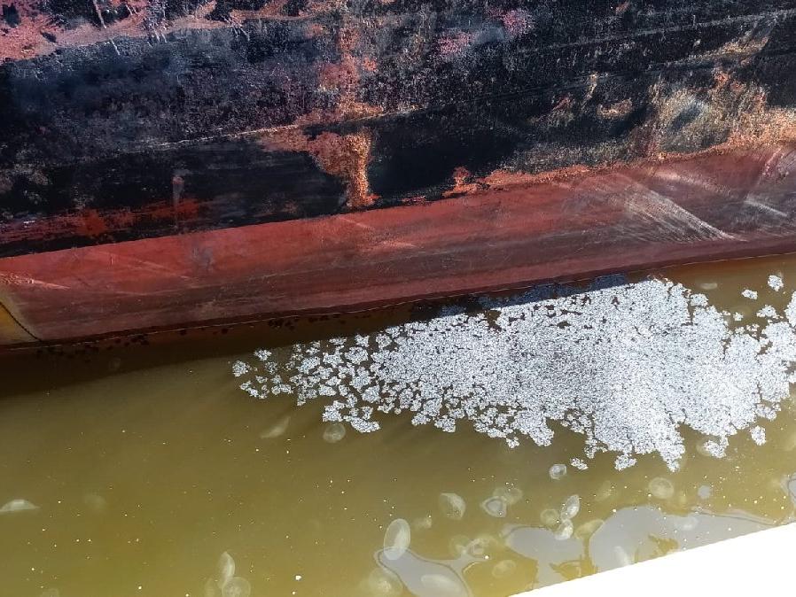 İzmit Körfezi'ni kirleten gemiye 5 milyon 122 bin 793 lira ceza