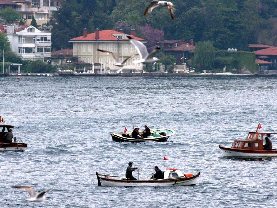 İstanbul Boğazı 'balık avcılığı' için 6 Kasım'da kapatılacak