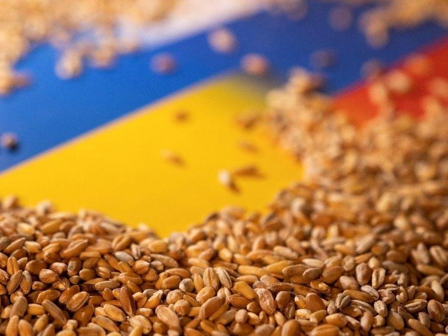 Rusya'dan tahıl koridoru kararı! Anlaşmayı askıya aldılar