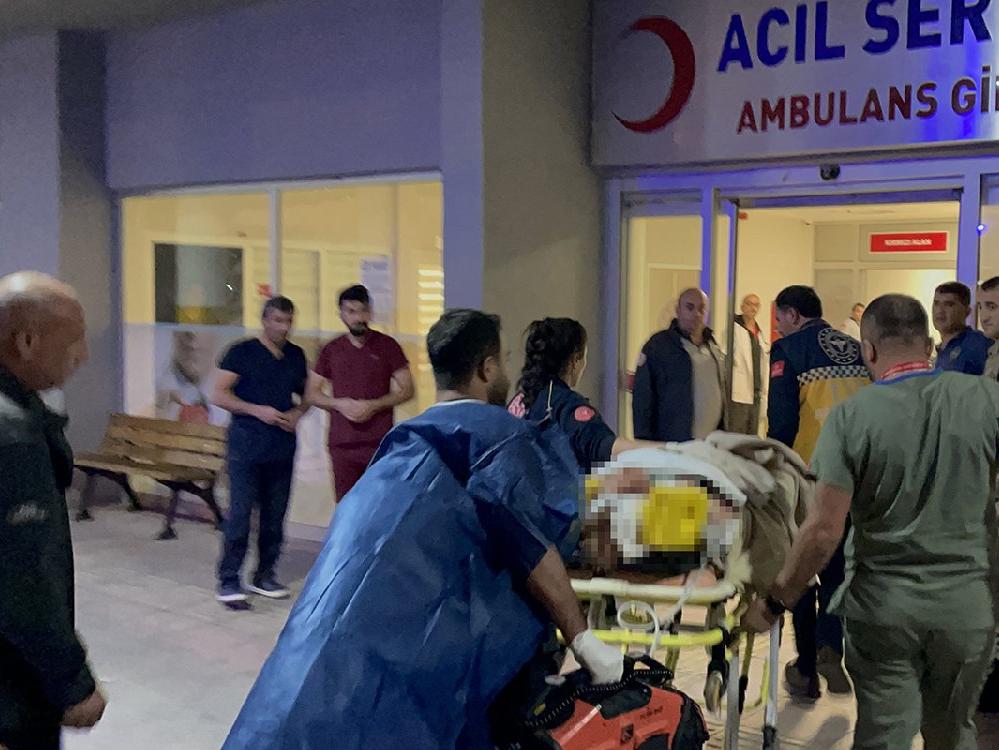 Erzincan'da ayı saldırısına uğrayan kadın ağır yaralandı