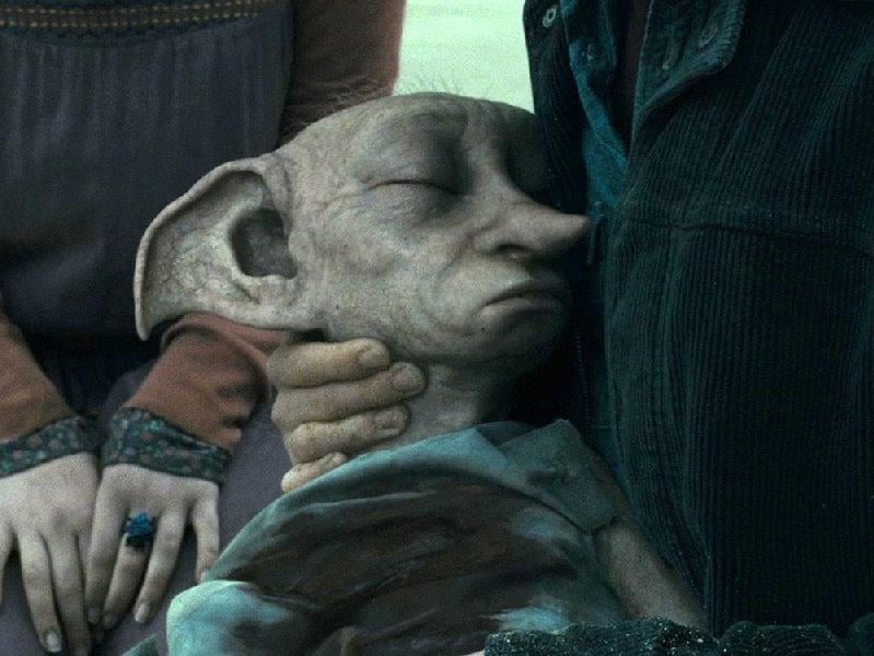 Harry Potter karakteri Dobby için çevrecilerden çağrı - Sözcü