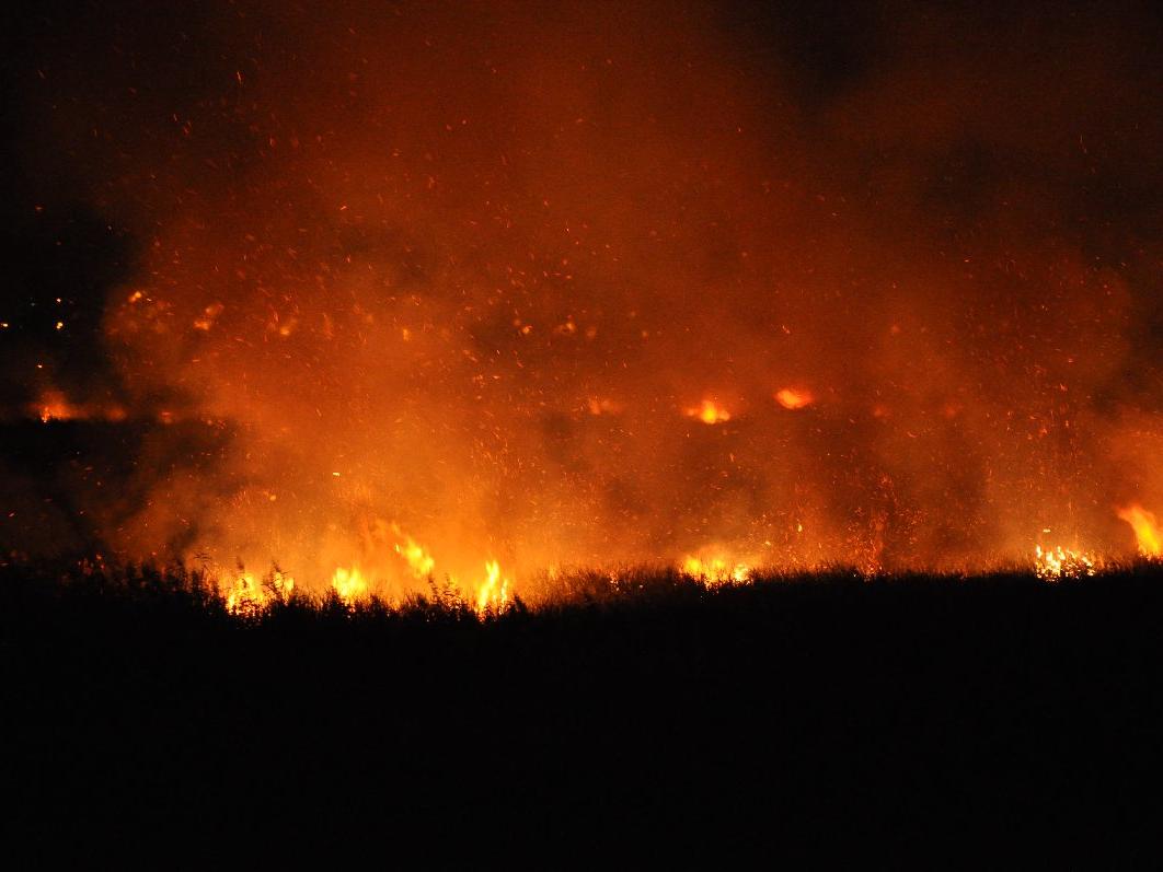 Mersin'deki Göksu Deltası'nda yangın çıktı