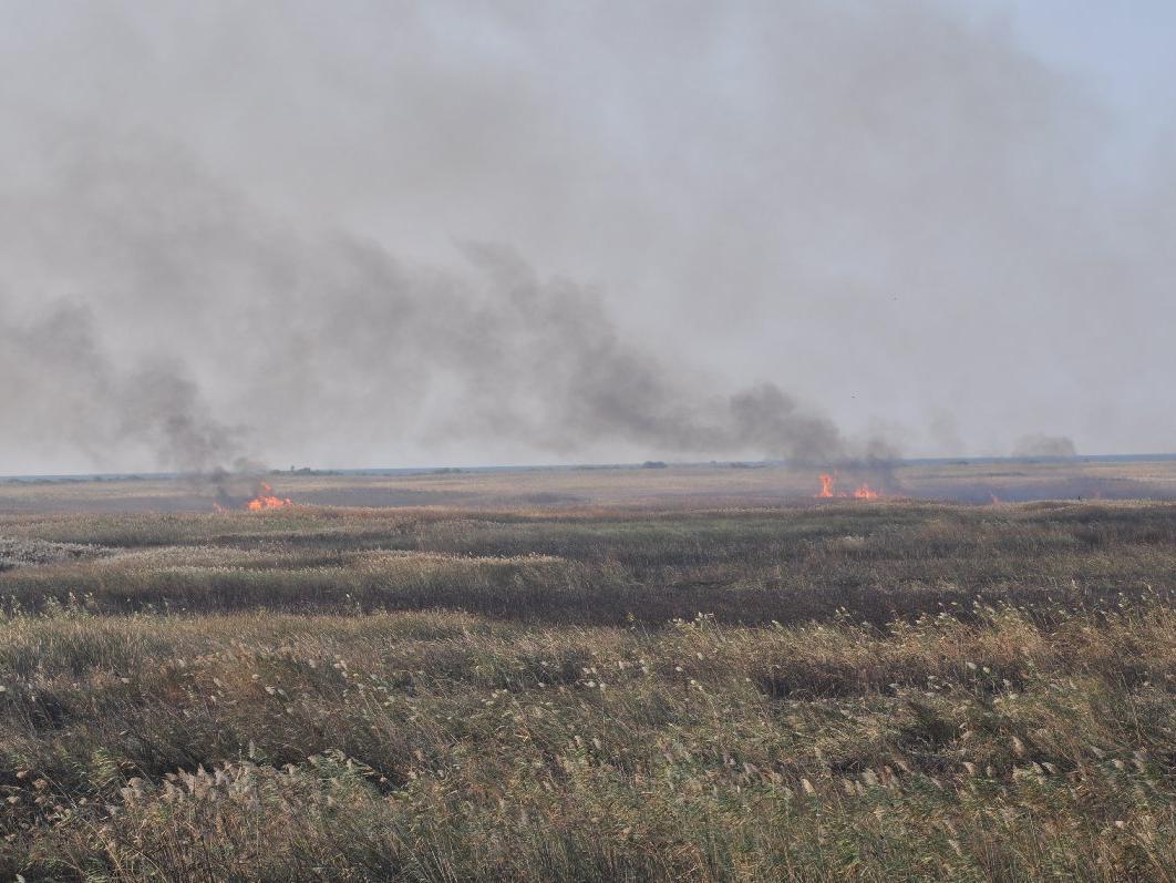 Göksu Deltası'nda çıkan yangın kendiliğinden söndü