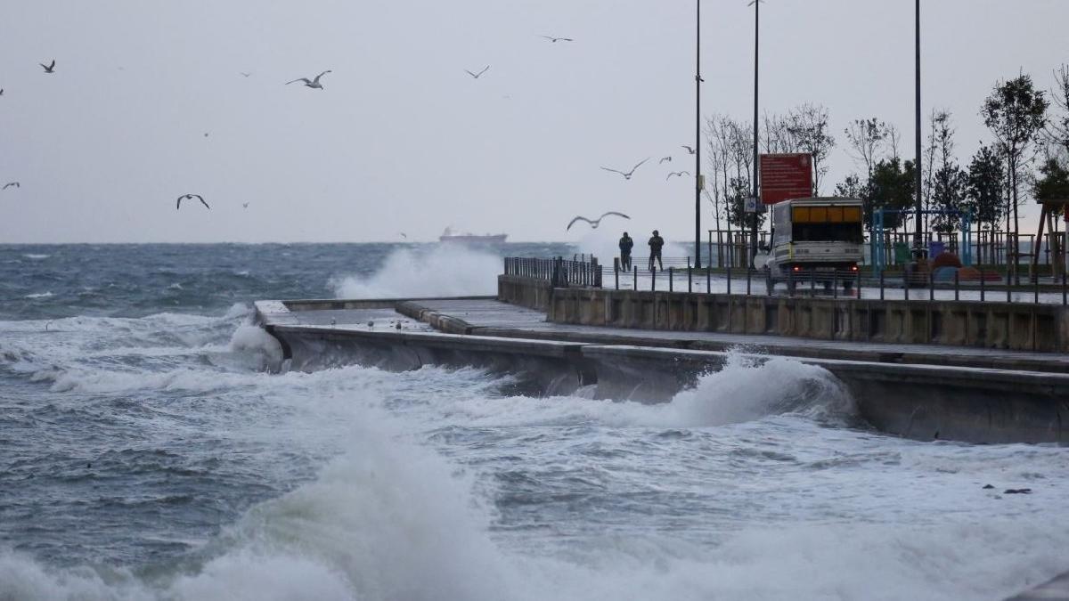 Marmara Denizi'nde lodos: Bazı feribotlar iptal, tankerler beklemede