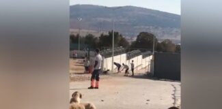 Konya'da barınakta köpeği katleden kişilerin ifadeleri ortaya çıktı