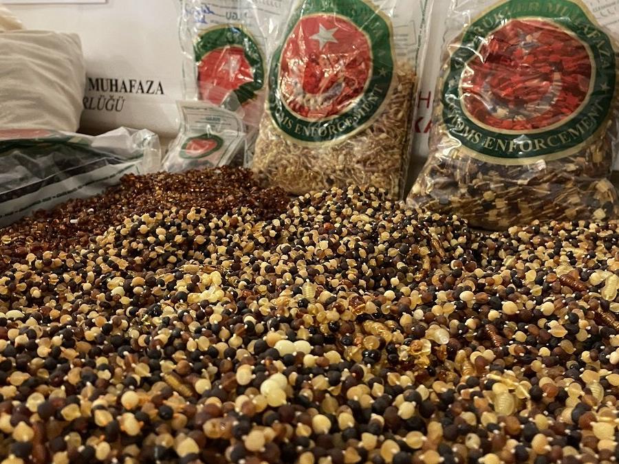 Kapıkule'de operasyon: 1 milyon liralık trüf mantarı ve kehribar ele geçirildi