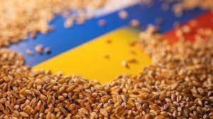 Ukrayna'dan Afrika ülkelerine tahıl desteği