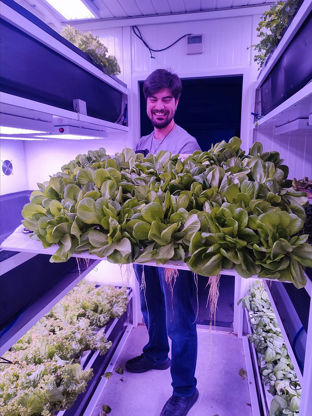 Evde topraksız tarım mümkün