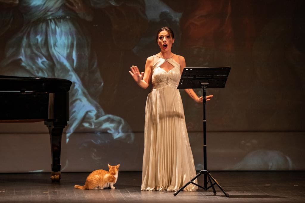 Süreyya Operası'nda kediler rol çaldı