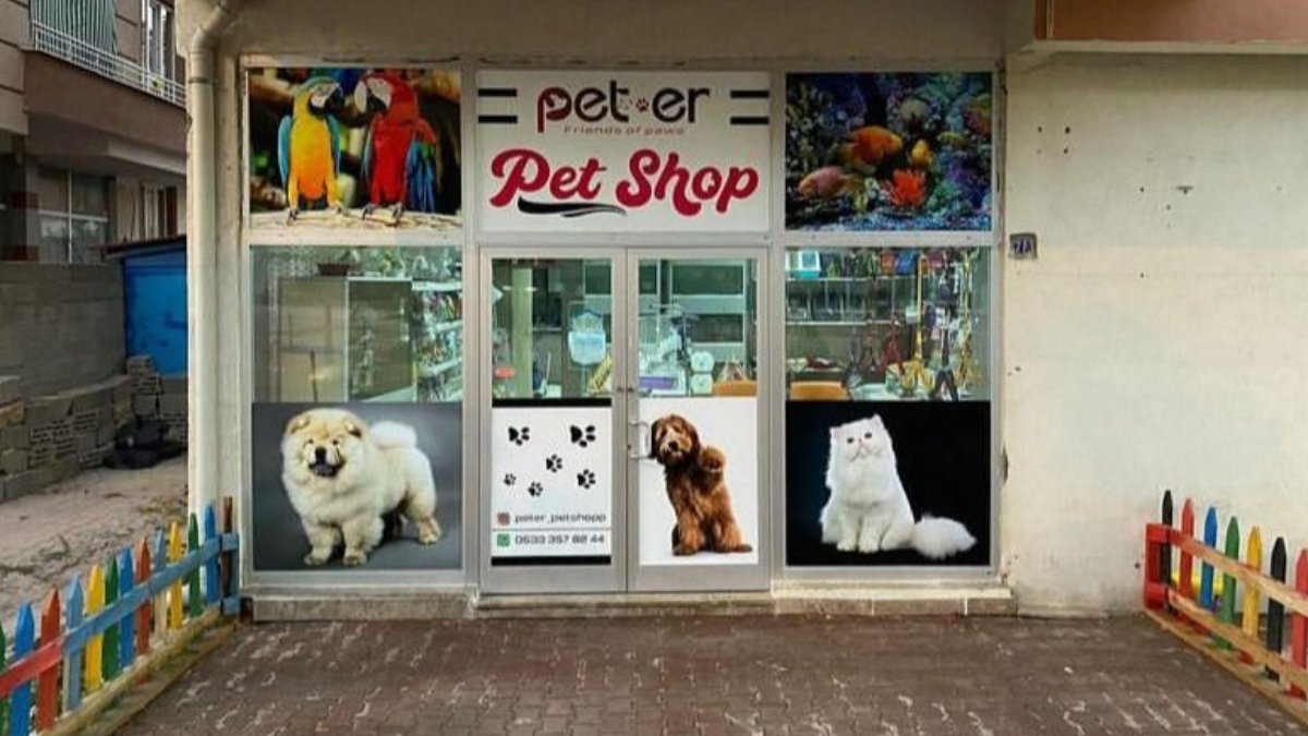 Pet shops around clearance me